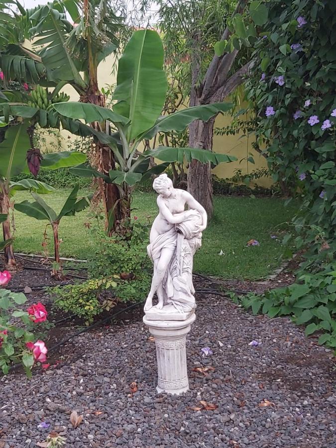 Mi Jardin Jerez de la Frontera Exterior foto