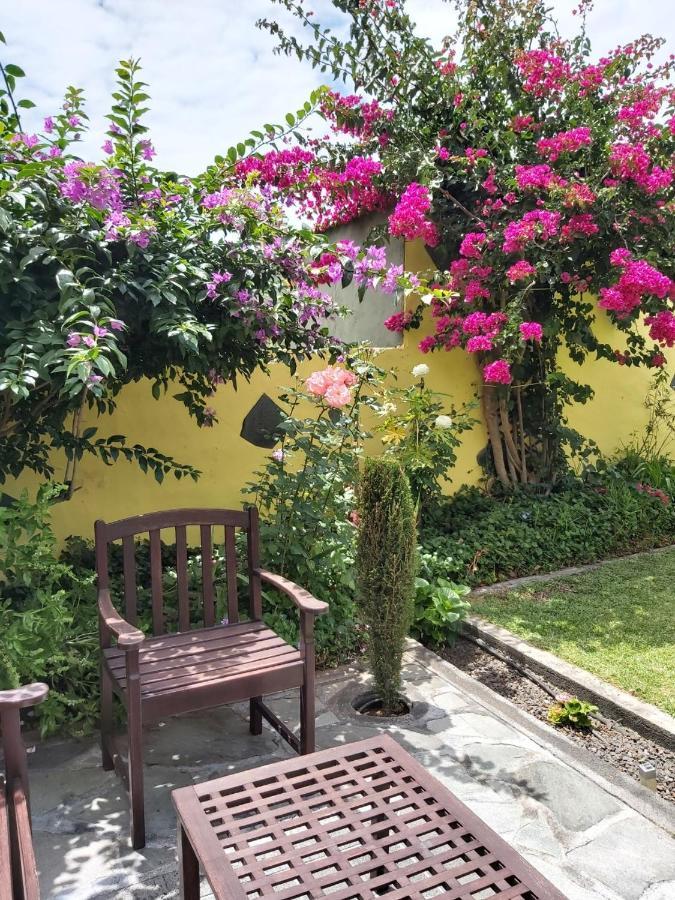 Mi Jardin Jerez de la Frontera Exterior foto