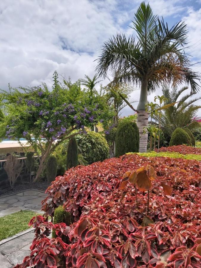 Mi Jardin Jerez de la Frontera Exterior foto