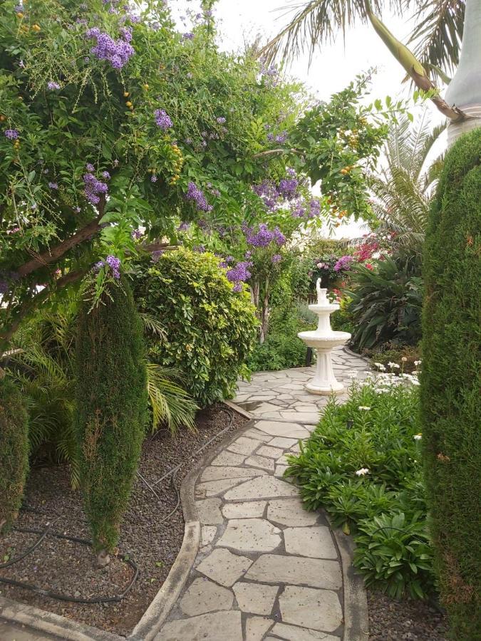 Mi Jardin Jerez de la Frontera Exterior foto