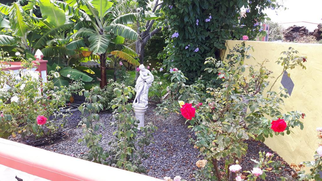 Mi Jardin Jerez de la Frontera Exterior foto