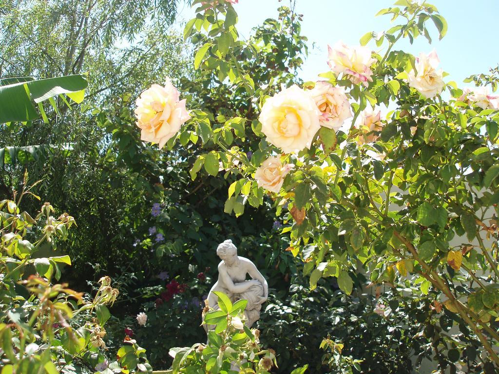 Mi Jardin Jerez de la Frontera Exterior foto